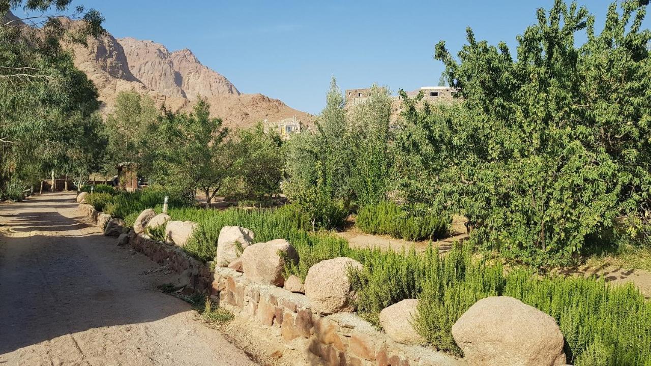 Hotel Fox Camp Saint Catherine Esterno foto