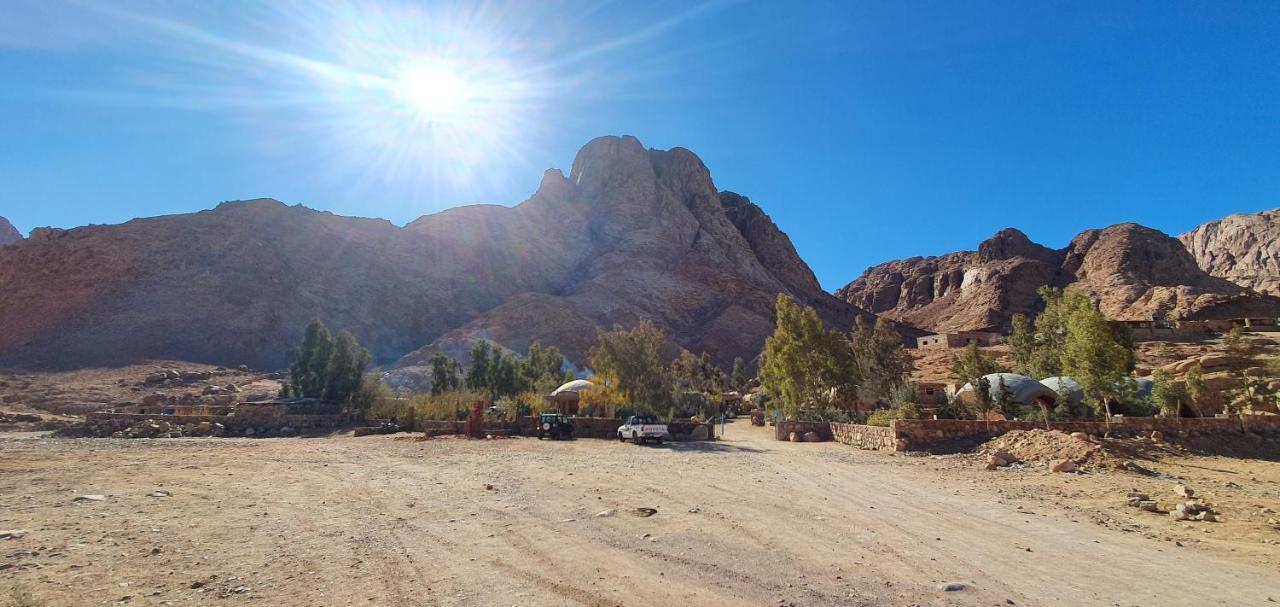 Hotel Fox Camp Saint Catherine Esterno foto