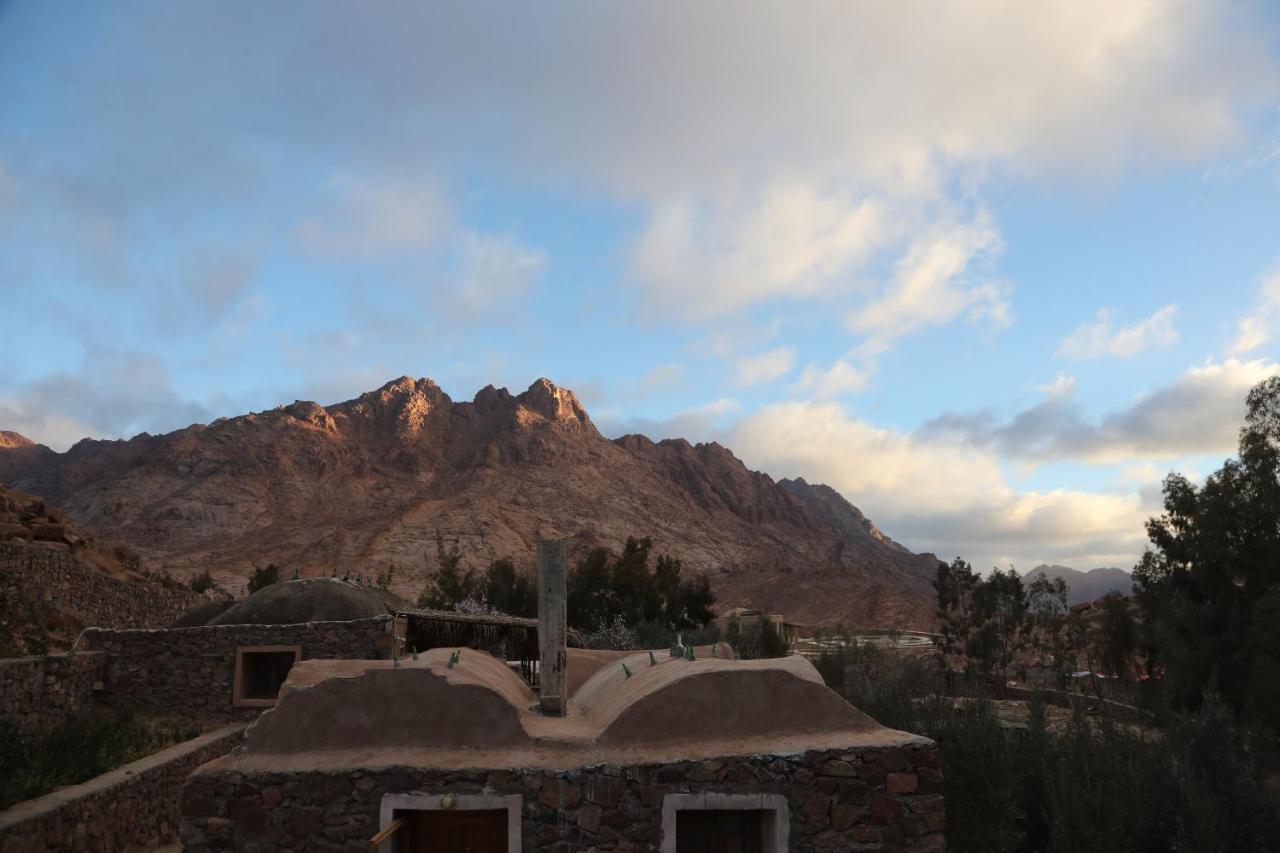 Hotel Fox Camp Saint Catherine Esterno foto